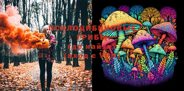 2c-b Бородино