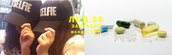 2c-b Бородино