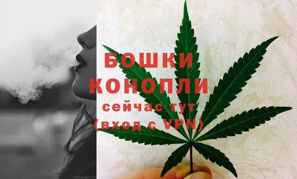 2c-b Бородино